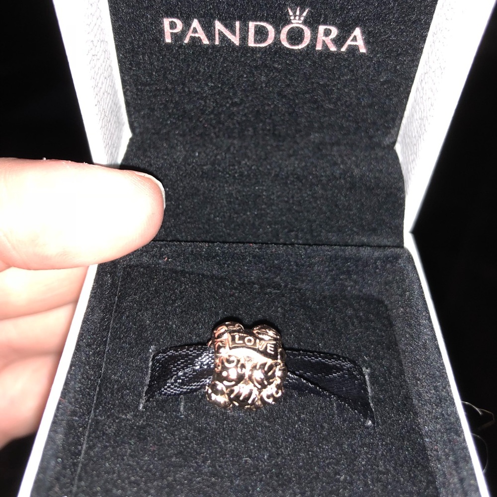 Hard to find rose gold family and love charm